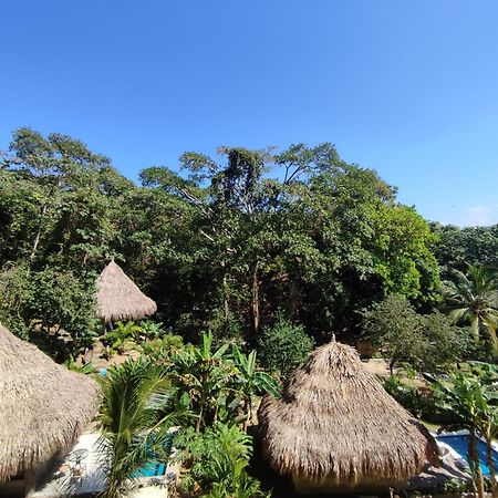 エル・ザイノ Colibri Parque Tayrona Dentro Del Parque Nacional Tayrona Bed & Breakfast エクステリア 写真