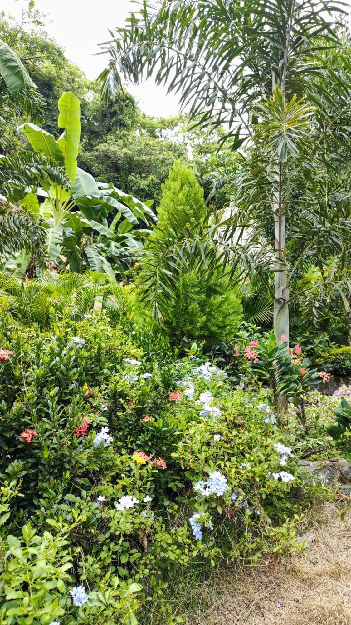 エル・ザイノ Colibri Parque Tayrona Dentro Del Parque Nacional Tayrona Bed & Breakfast エクステリア 写真
