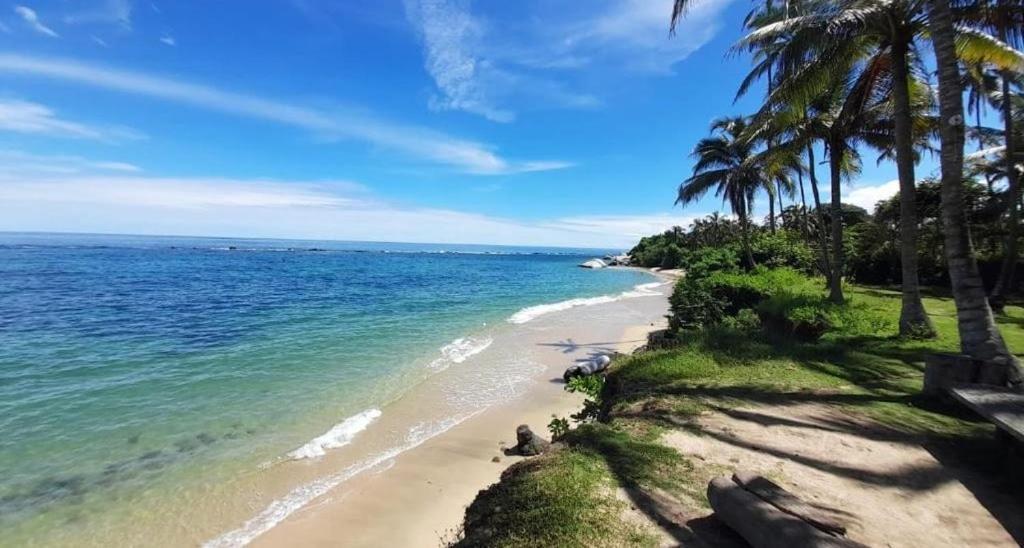 エル・ザイノ Colibri Parque Tayrona Dentro Del Parque Nacional Tayrona Bed & Breakfast エクステリア 写真