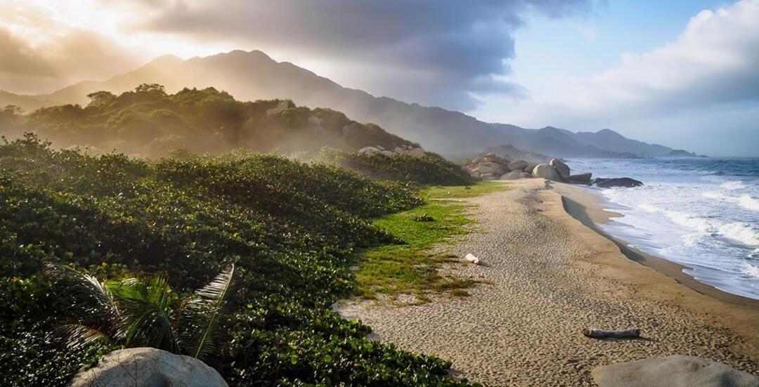 エル・ザイノ Colibri Parque Tayrona Dentro Del Parque Nacional Tayrona Bed & Breakfast エクステリア 写真