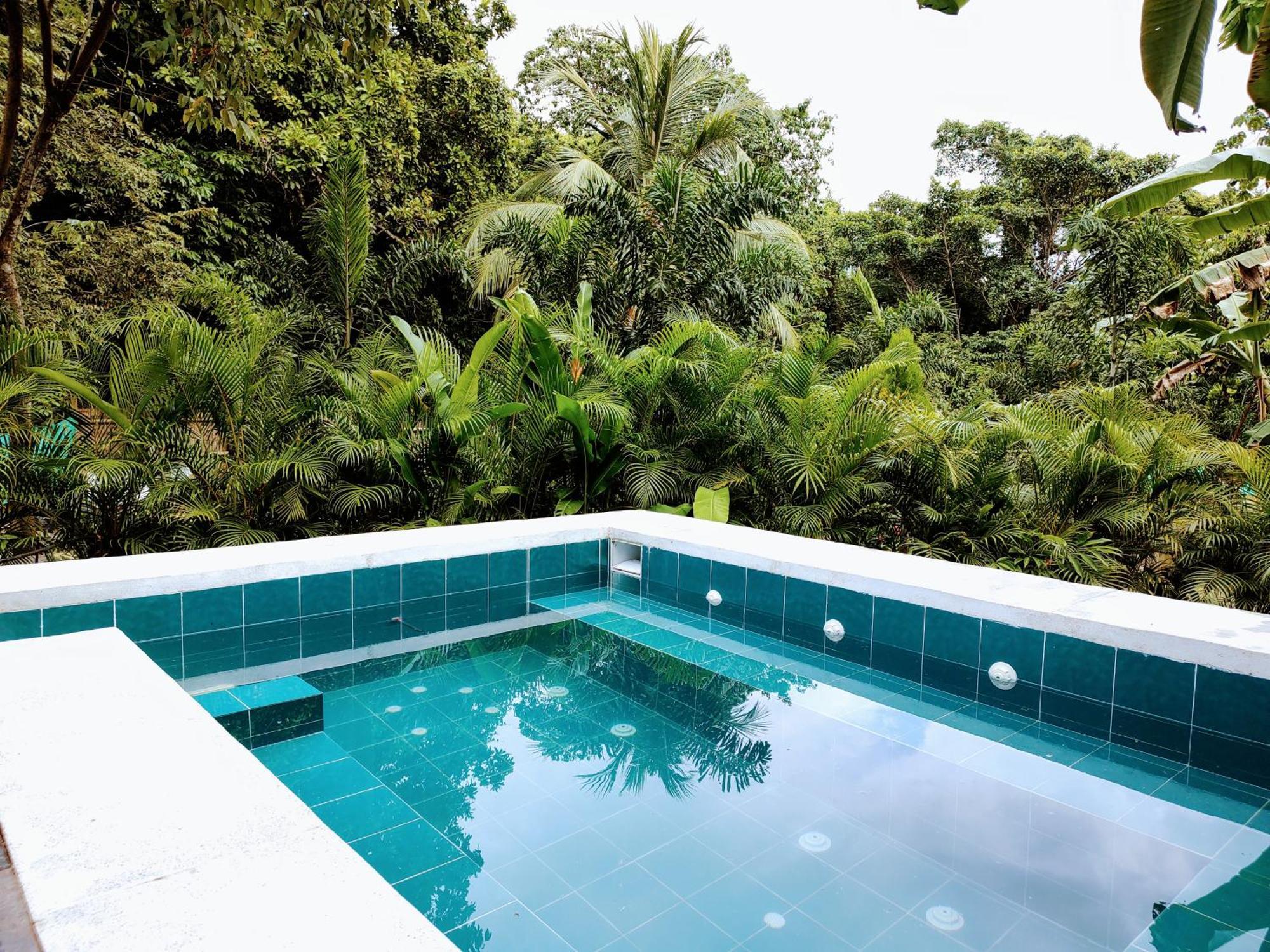 エル・ザイノ Colibri Parque Tayrona Dentro Del Parque Nacional Tayrona Bed & Breakfast エクステリア 写真
