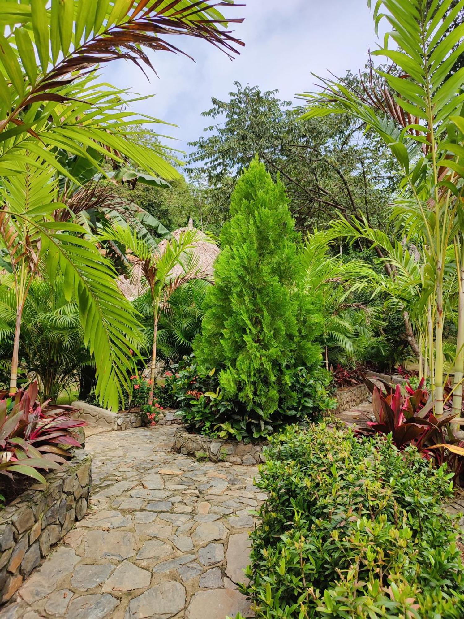 エル・ザイノ Colibri Parque Tayrona Dentro Del Parque Nacional Tayrona Bed & Breakfast エクステリア 写真