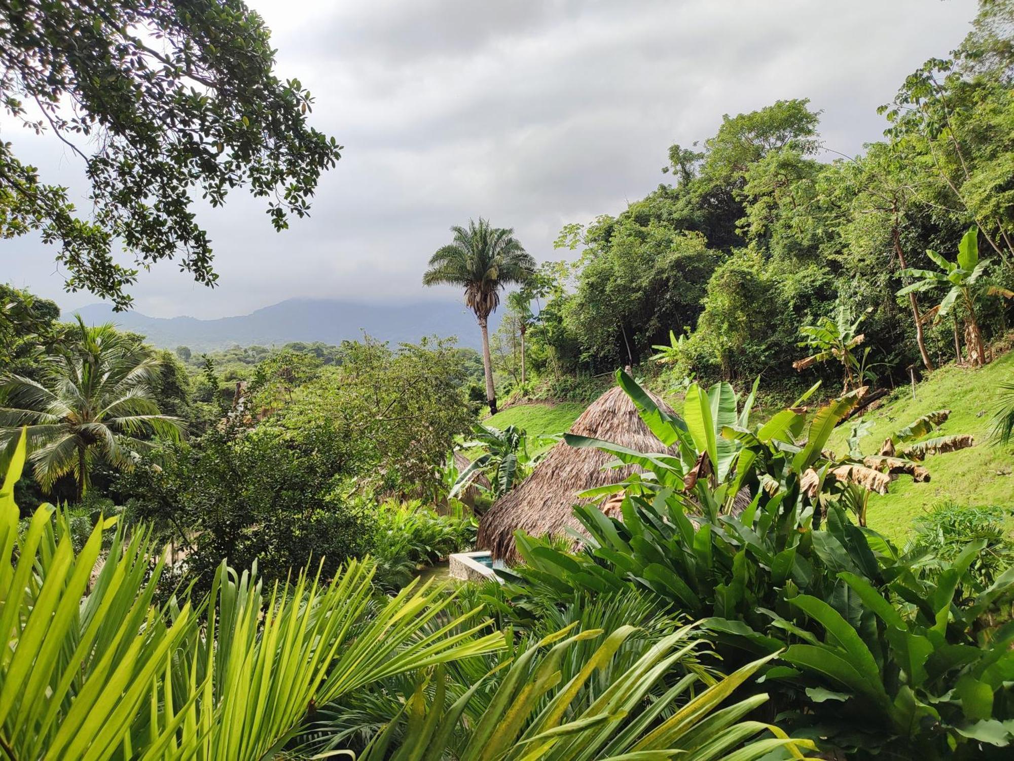 エル・ザイノ Colibri Parque Tayrona Dentro Del Parque Nacional Tayrona Bed & Breakfast エクステリア 写真