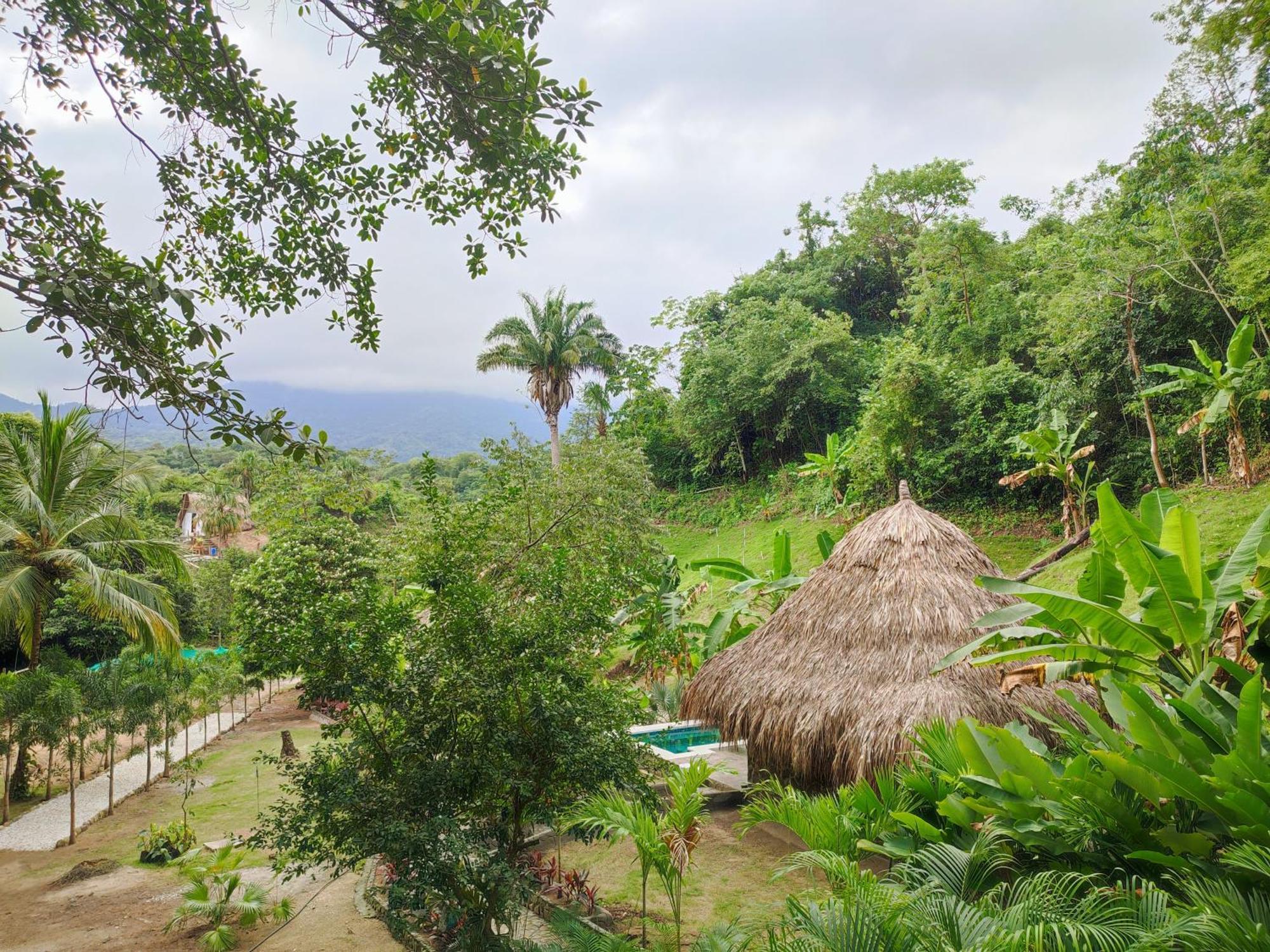 エル・ザイノ Colibri Parque Tayrona Dentro Del Parque Nacional Tayrona Bed & Breakfast エクステリア 写真