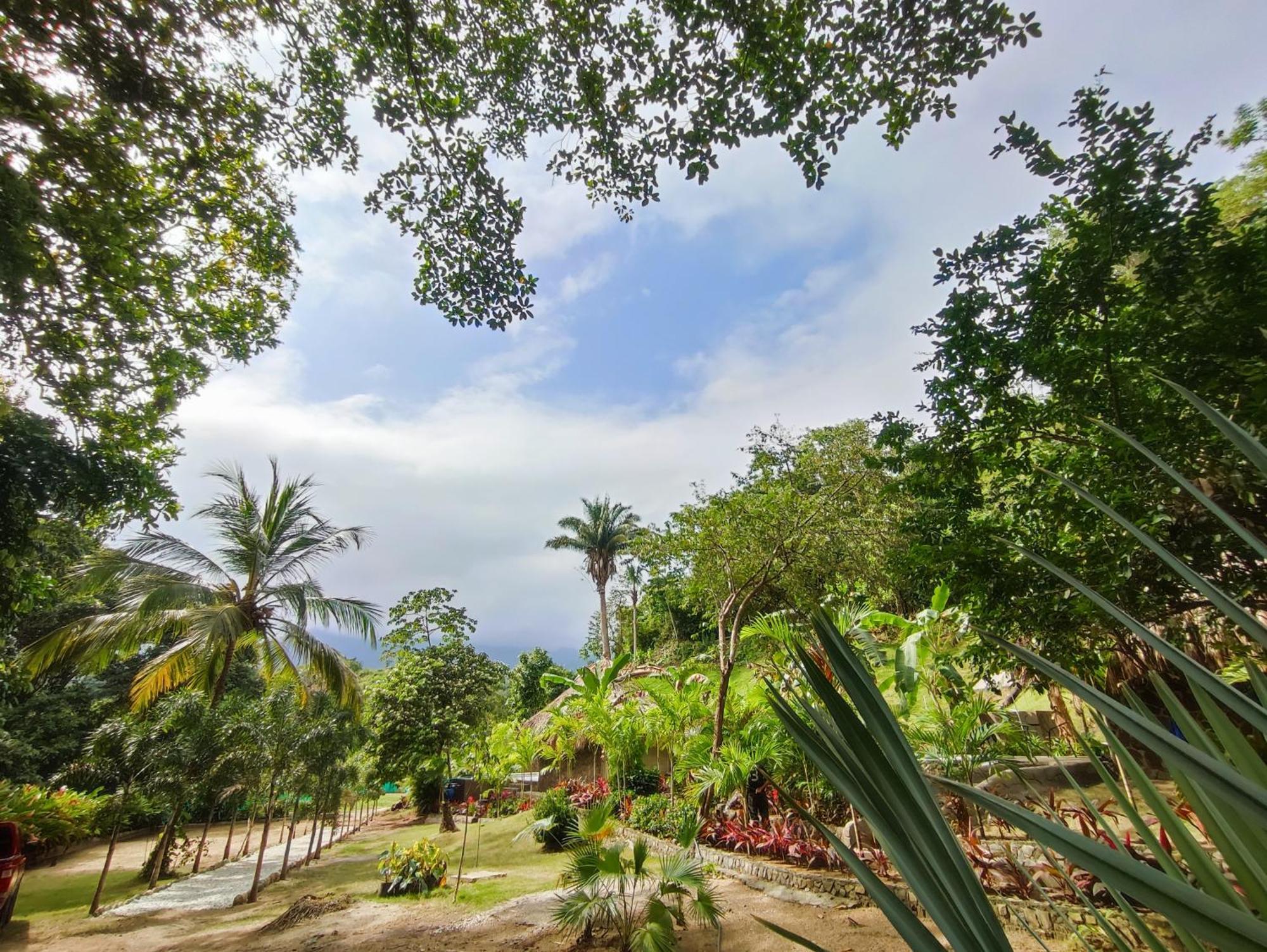 エル・ザイノ Colibri Parque Tayrona Dentro Del Parque Nacional Tayrona Bed & Breakfast エクステリア 写真