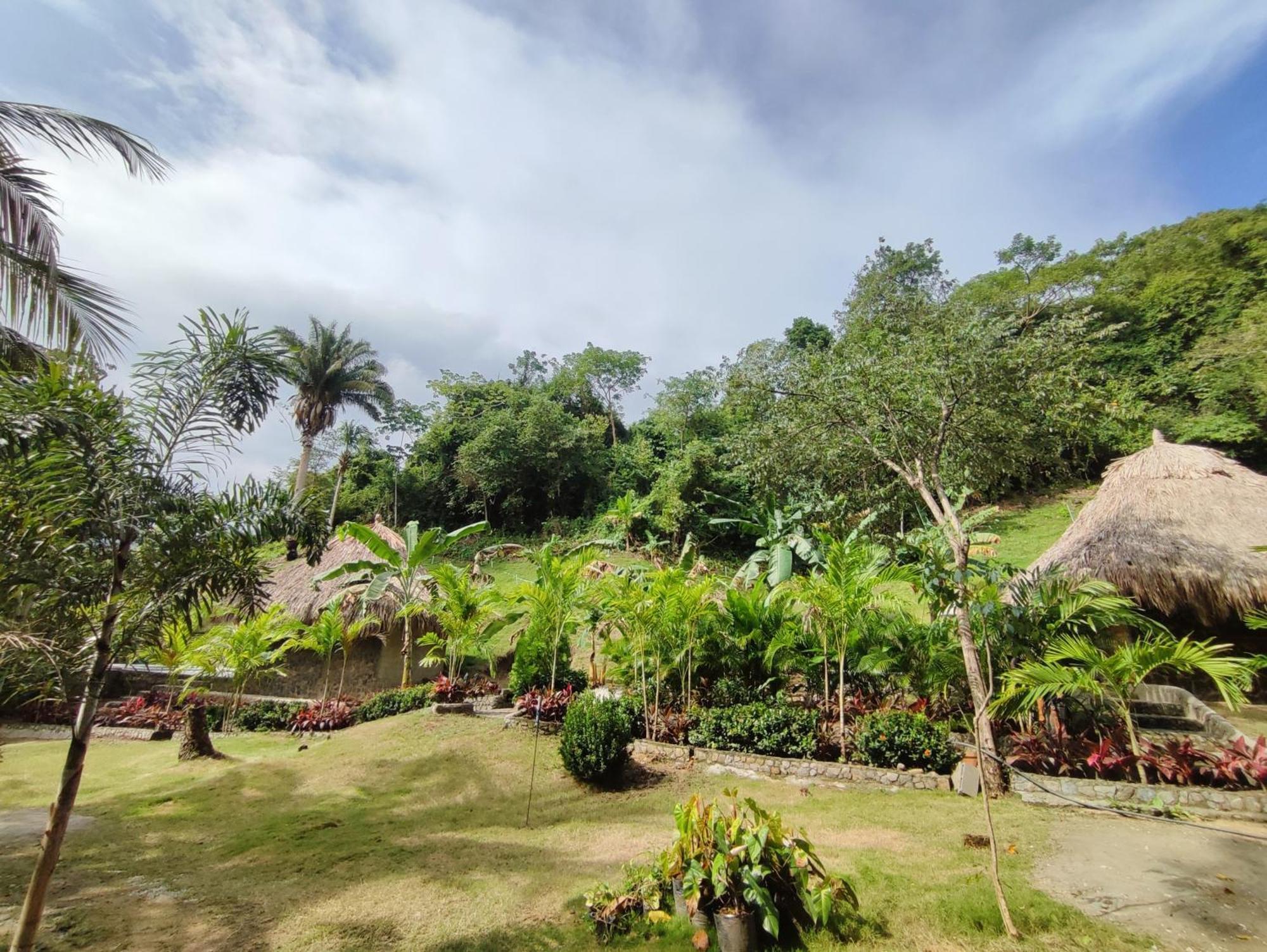 エル・ザイノ Colibri Parque Tayrona Dentro Del Parque Nacional Tayrona Bed & Breakfast エクステリア 写真