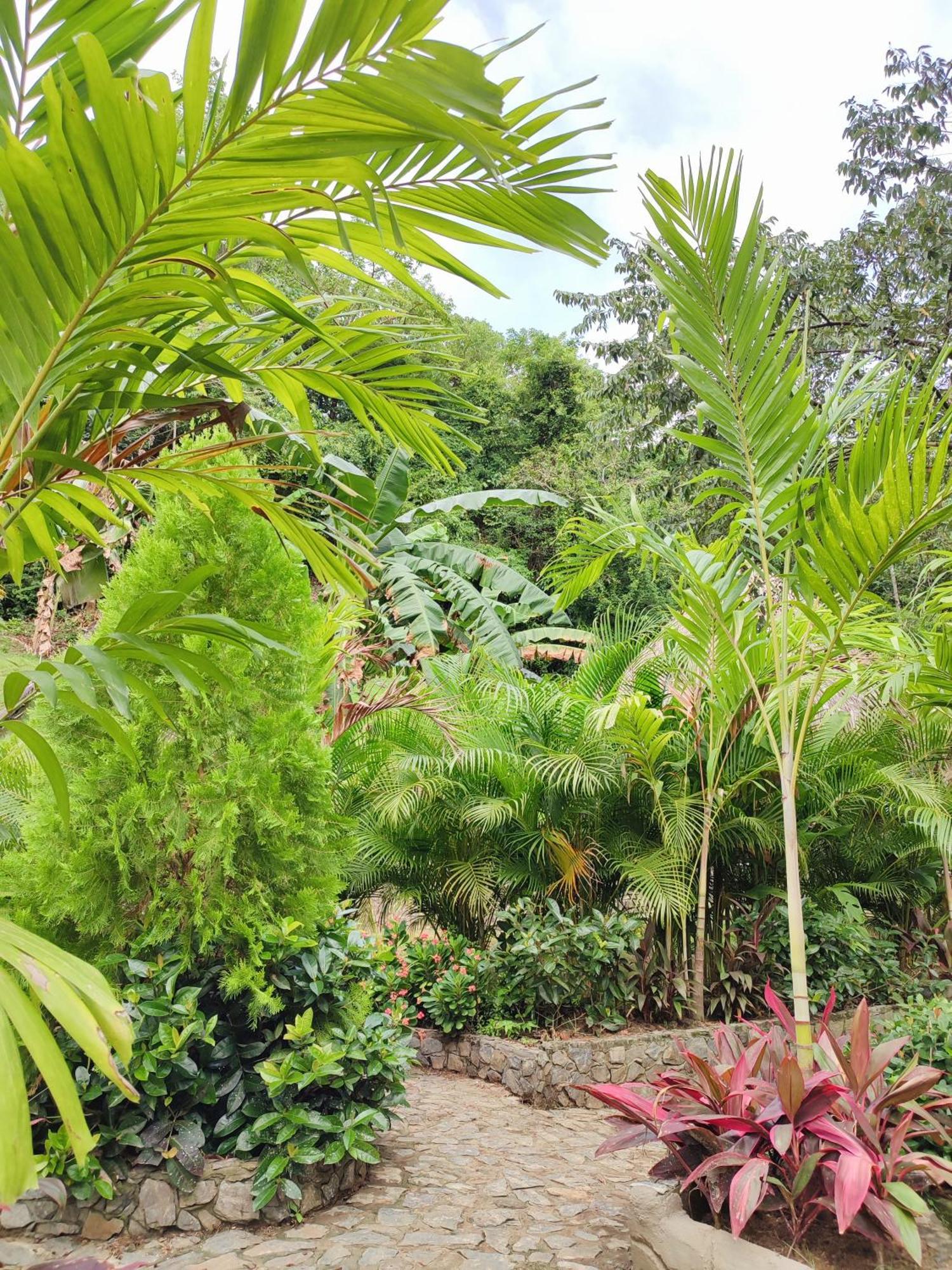 エル・ザイノ Colibri Parque Tayrona Dentro Del Parque Nacional Tayrona Bed & Breakfast エクステリア 写真