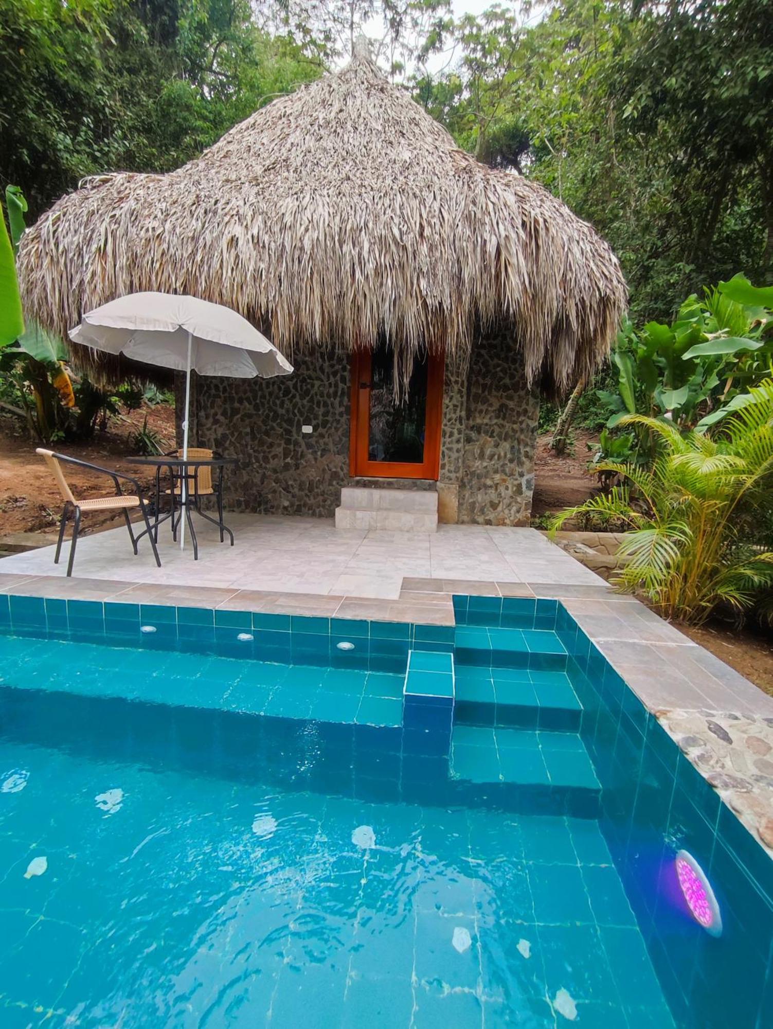 エル・ザイノ Colibri Parque Tayrona Dentro Del Parque Nacional Tayrona Bed & Breakfast エクステリア 写真