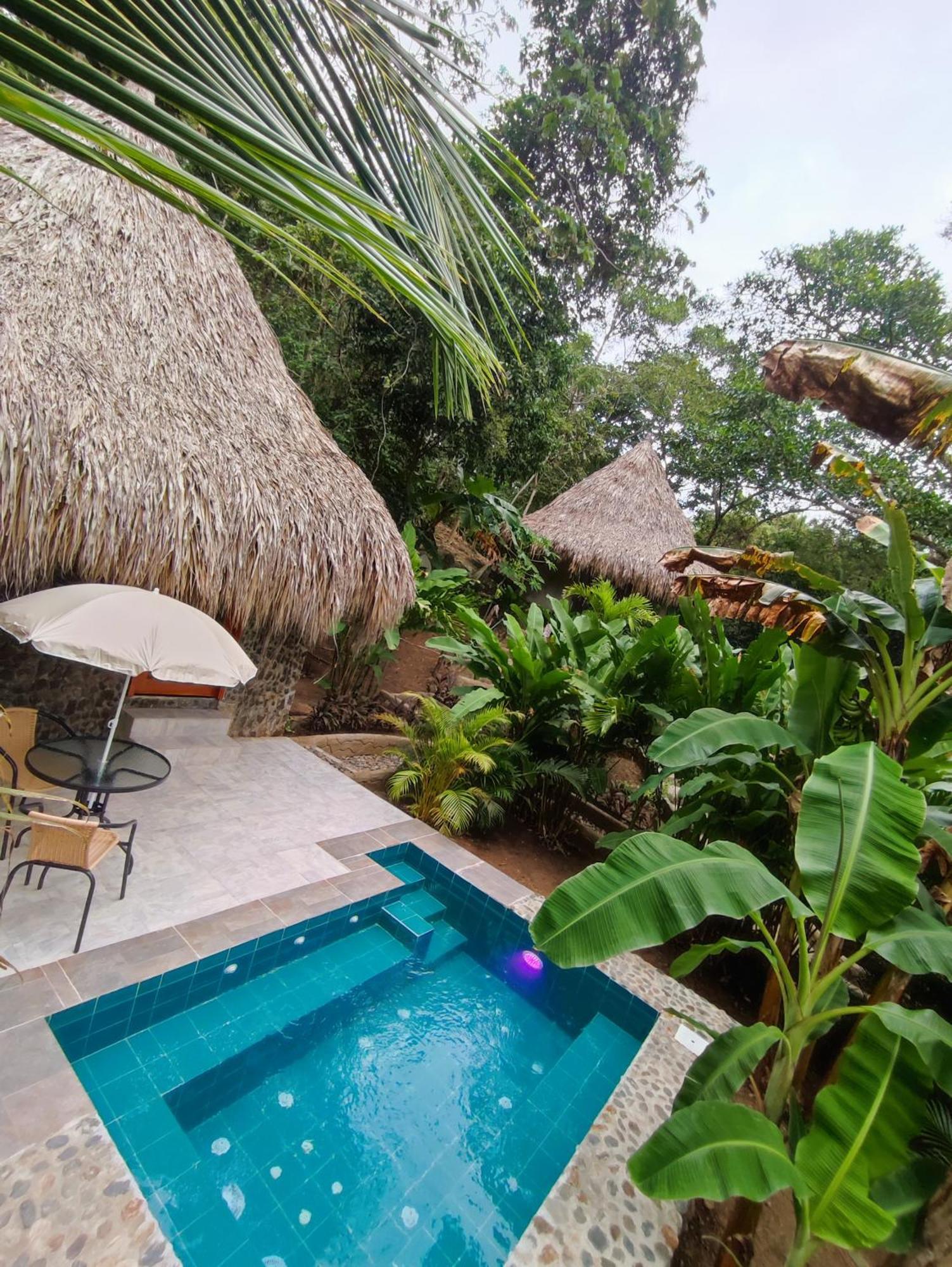 エル・ザイノ Colibri Parque Tayrona Dentro Del Parque Nacional Tayrona Bed & Breakfast エクステリア 写真