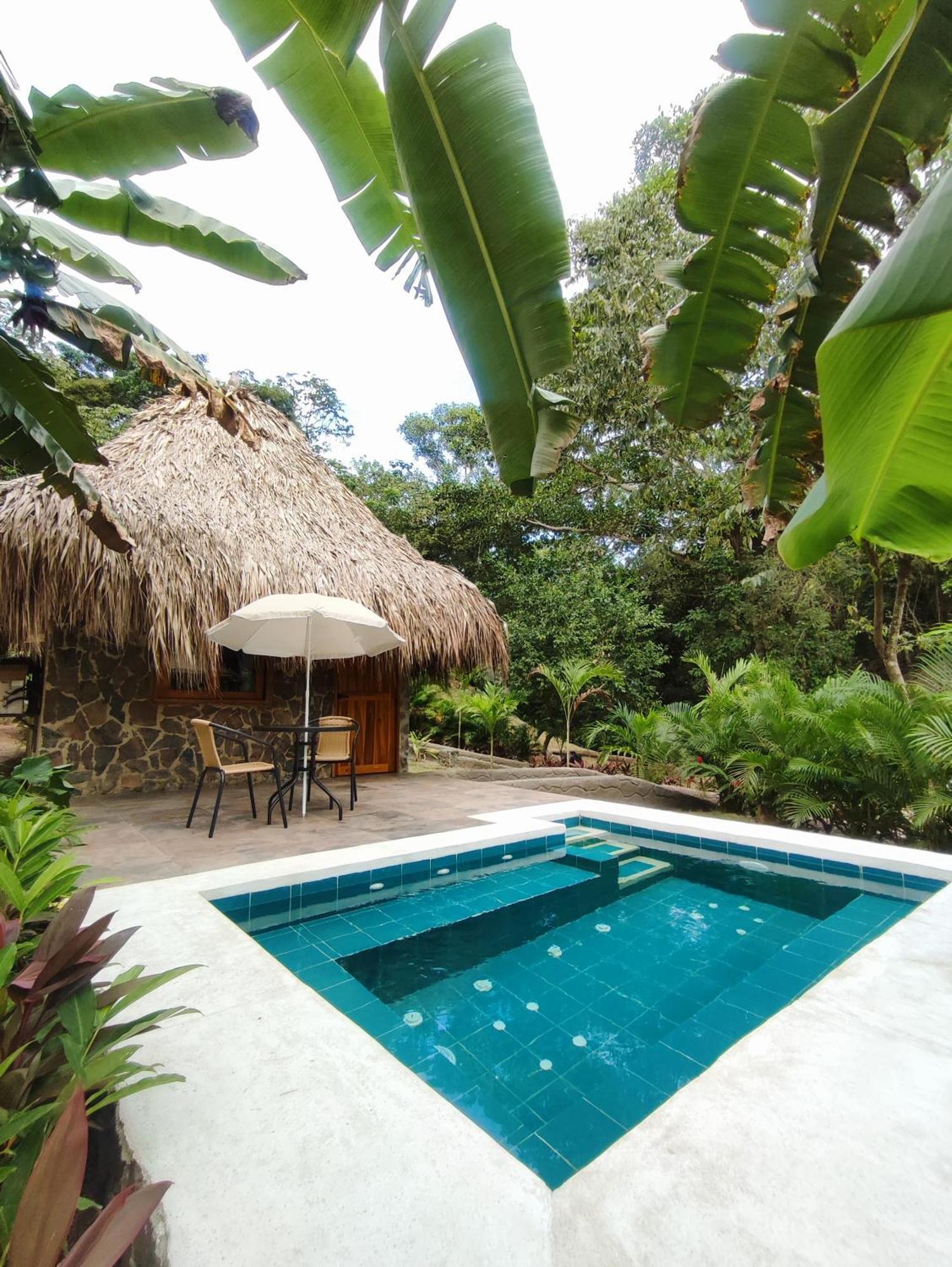 エル・ザイノ Colibri Parque Tayrona Dentro Del Parque Nacional Tayrona Bed & Breakfast エクステリア 写真