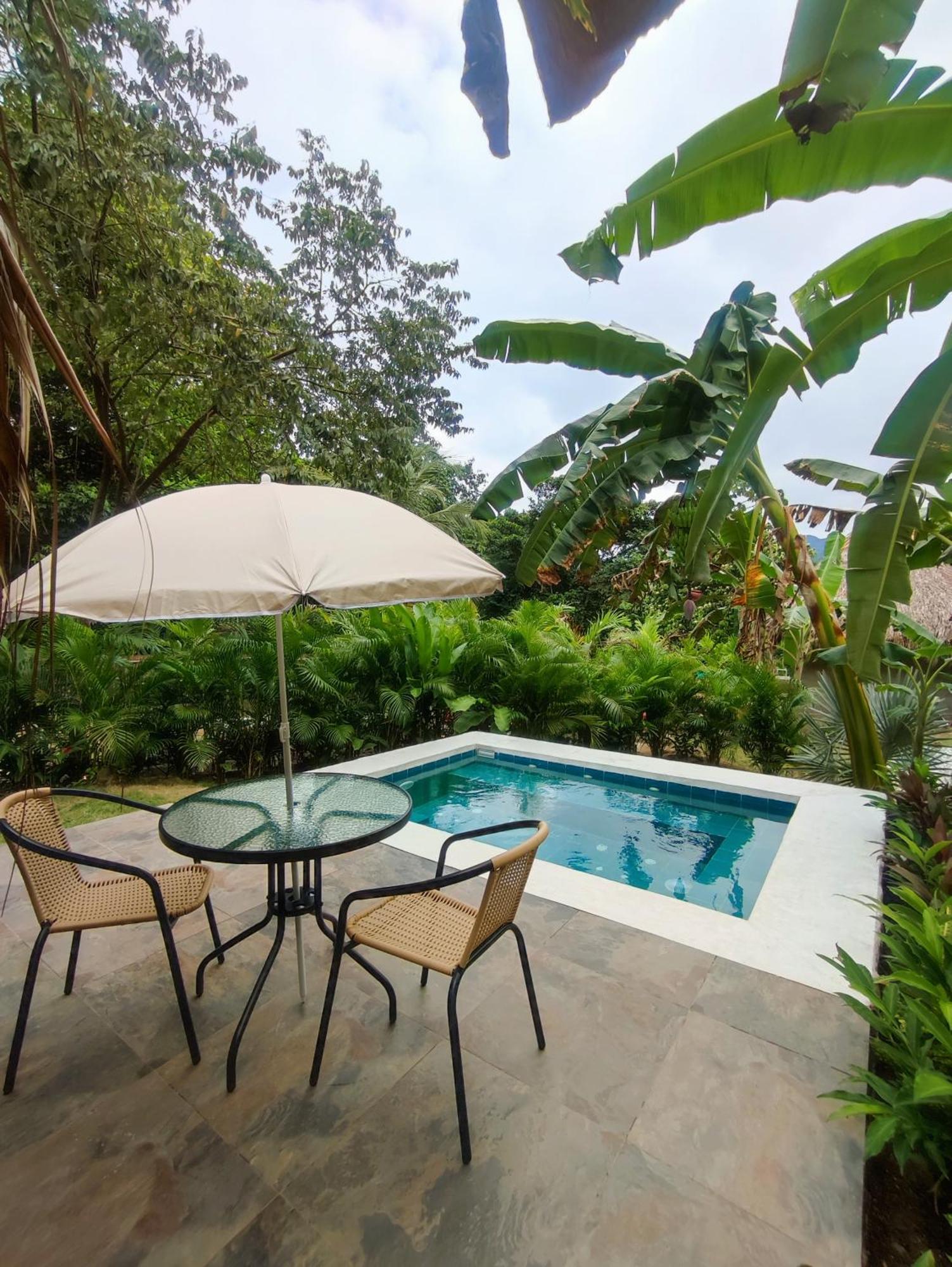 エル・ザイノ Colibri Parque Tayrona Dentro Del Parque Nacional Tayrona Bed & Breakfast エクステリア 写真