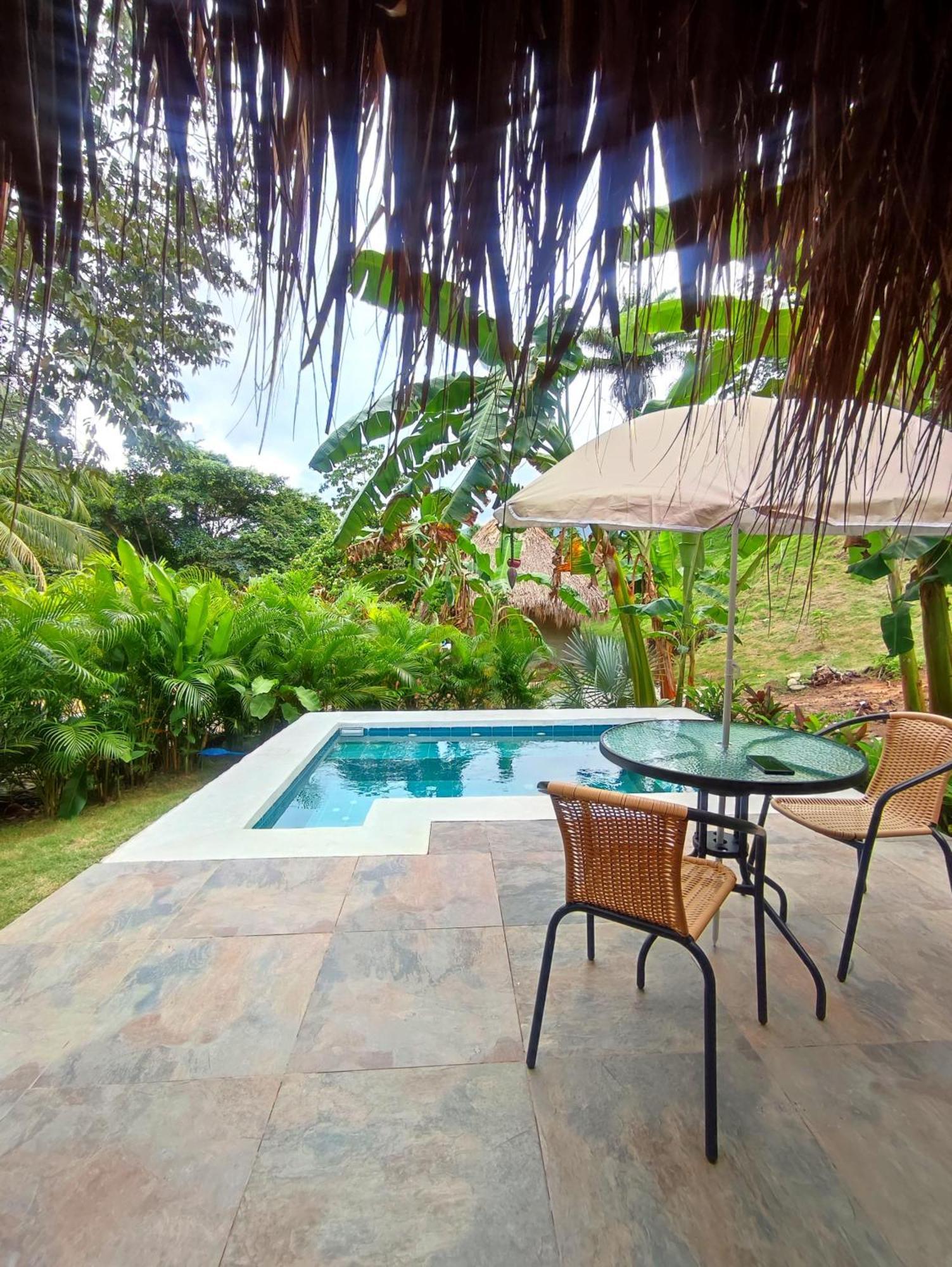 エル・ザイノ Colibri Parque Tayrona Dentro Del Parque Nacional Tayrona Bed & Breakfast エクステリア 写真