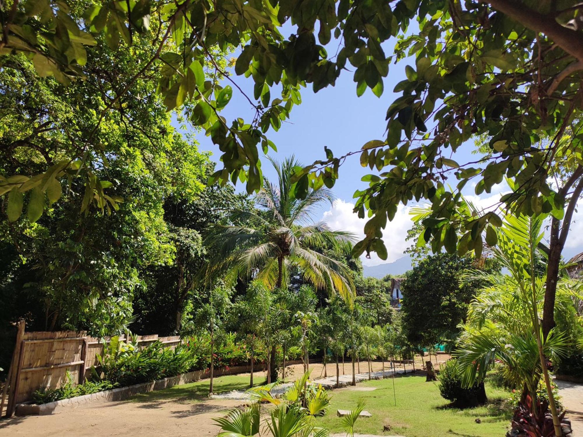 エル・ザイノ Colibri Parque Tayrona Dentro Del Parque Nacional Tayrona Bed & Breakfast エクステリア 写真