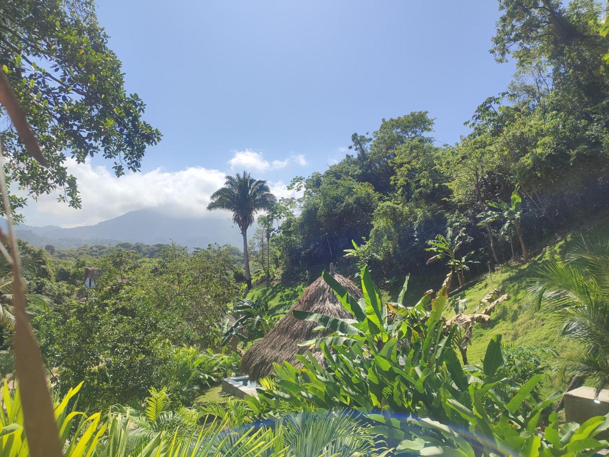 エル・ザイノ Colibri Parque Tayrona Dentro Del Parque Nacional Tayrona Bed & Breakfast エクステリア 写真