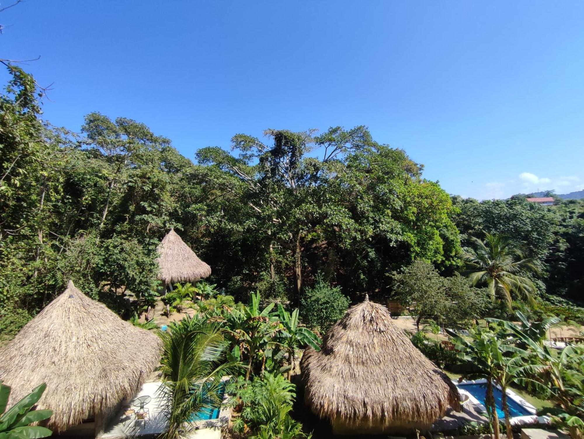 エル・ザイノ Colibri Parque Tayrona Dentro Del Parque Nacional Tayrona Bed & Breakfast エクステリア 写真
